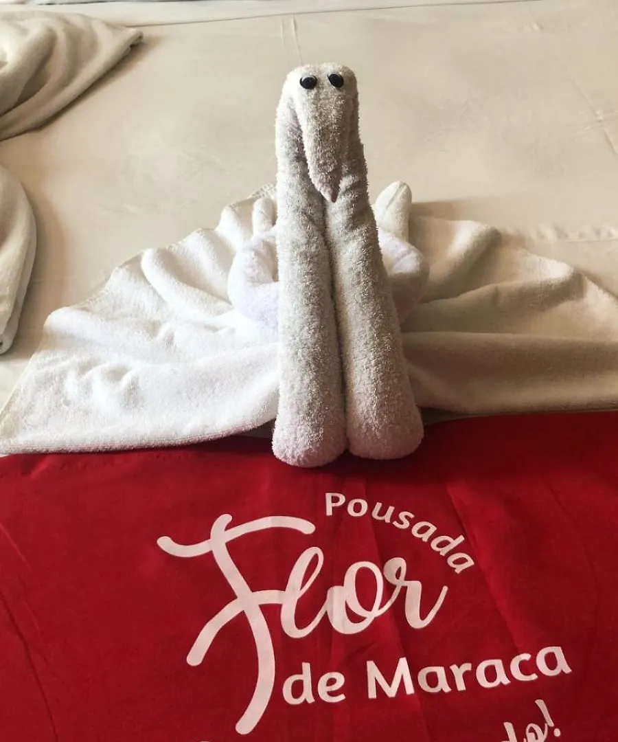 Pousada Flor De Maraca Pôrto das Galinhas Brasile