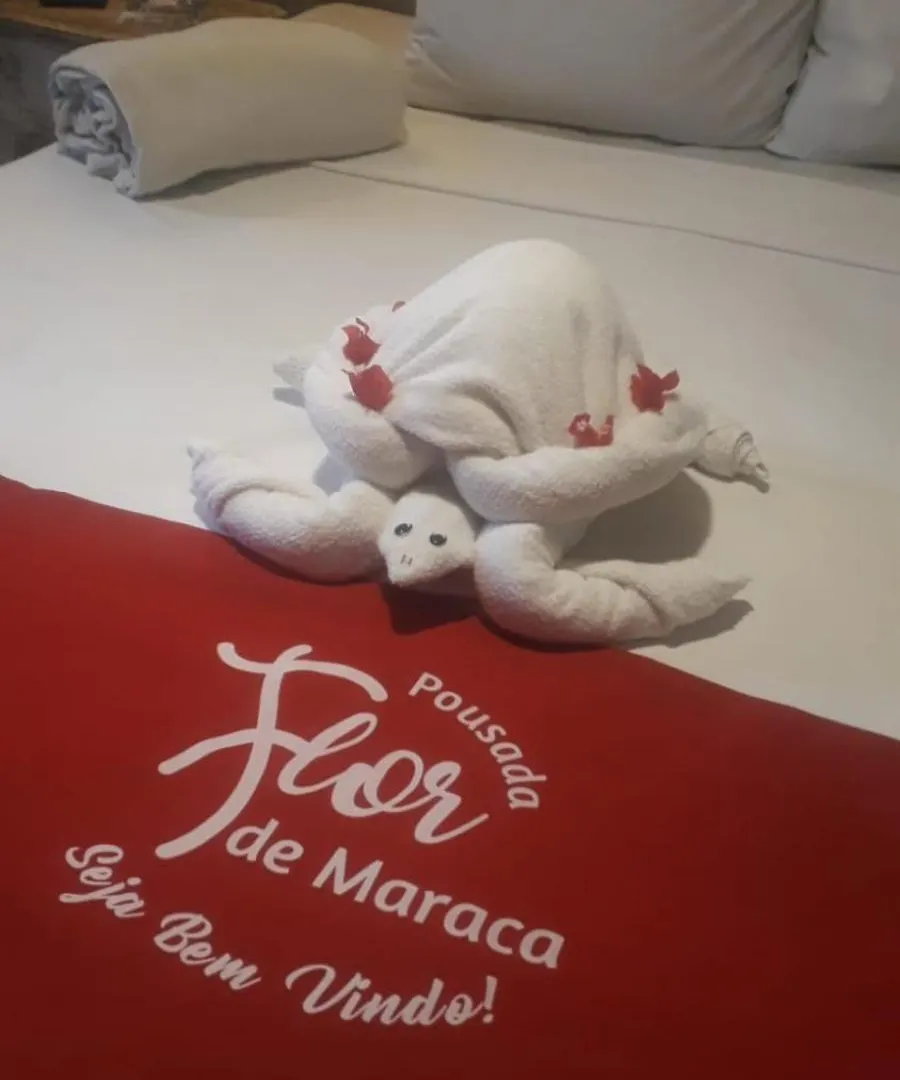 イン Pousada Flor De Maraca Pôrto das Galinhas