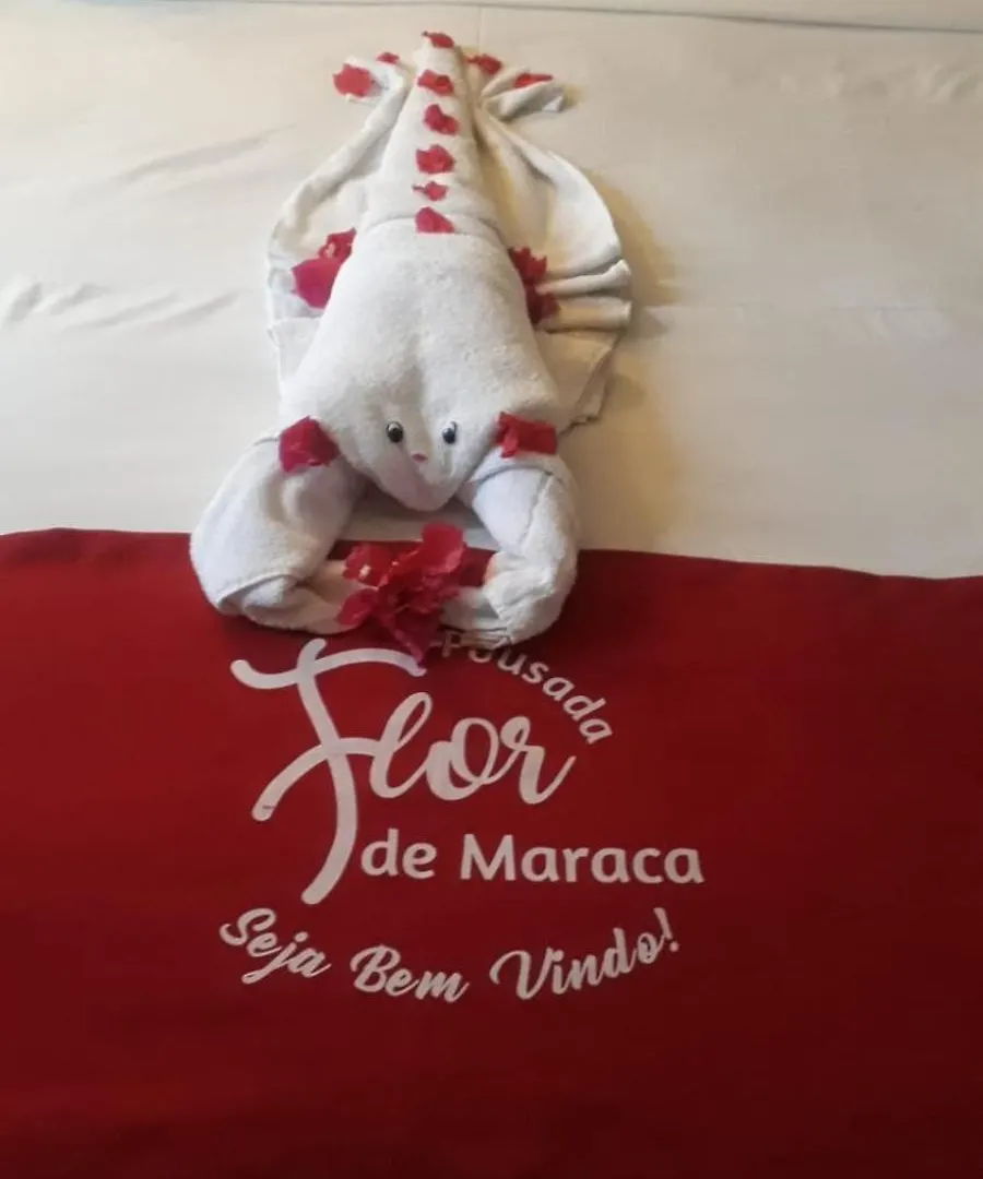 Pousada Flor De Maraca Pôrto das Galinhas イン