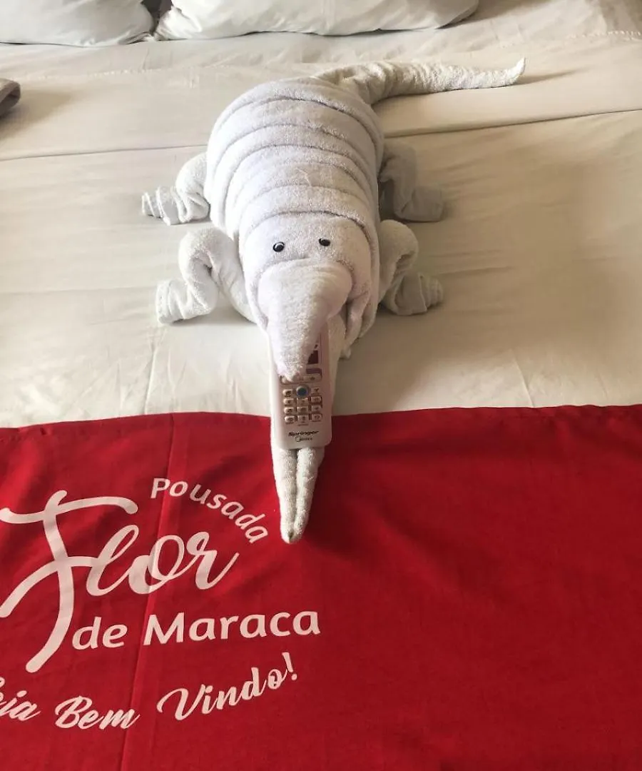 Pousada Flor De Maraca Pôrto das Galinhas